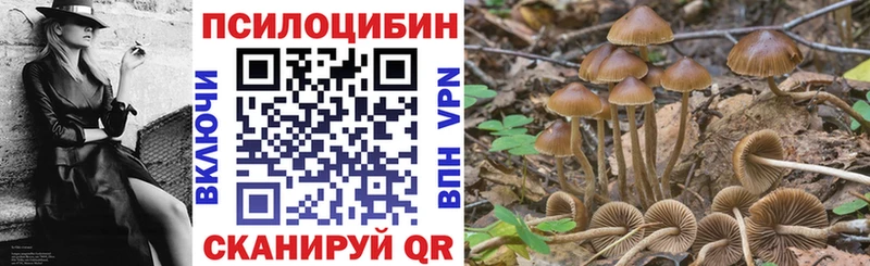 Галлюциногенные грибы ЛСД  Купить где  Няндома 